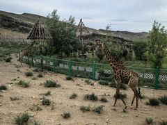 -新疆天山野生动物园