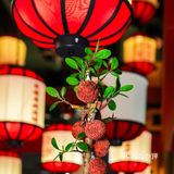 回到唐朝味道🌸长安陕味原来可以如此惬意。