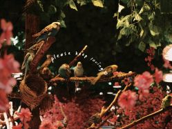 -酷嗒动物文化乐园(cutezoo西溪乐天城店)