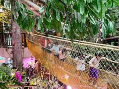 -正佳雨林生态植物园