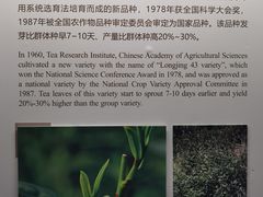 -中国茶叶博物馆(双峰馆区)