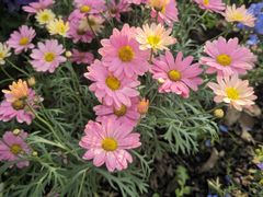 -苏州上方山国家森林公园