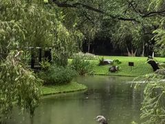 -人民公园(罗湖区)