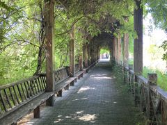 -池杉湖湿地公园