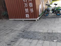 -昆山城市生态森林公园