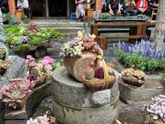 -寂照庵