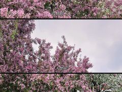 -海棠花溪(元大都城垣遗址公园)