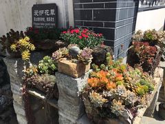 -寂照庵