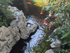 -鲤院·新中式美学·庭院餐厅(夫子庙店)