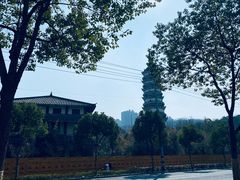 -徽园