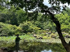 -杭州植物园