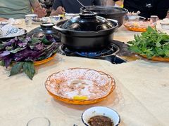 -一煲鸽