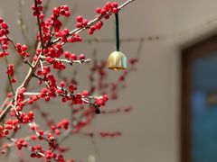 -Kekimatata 生日蛋糕·烘焙教学