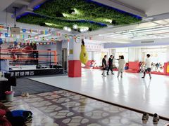 -津武堂散打搏击俱乐部(河西店)