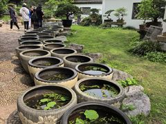-上海醉白池公园
