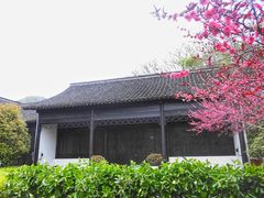 -西湖风景区-江洋畈生态公园
