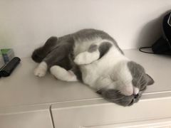 -留芳·文旅古月楼(老街店)