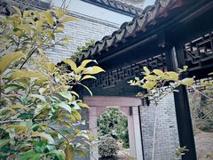 -八大山人梅湖景区
