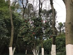 -百林公园-两江幸福广场