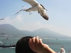 -长岛大黑山岛