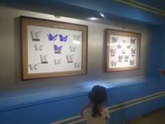 -上海昆虫博物馆