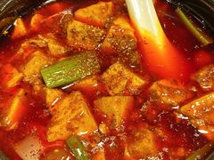 -陈麻婆豆腐总店