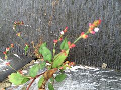 -南京市无想山景区