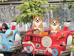 -南宫五洲植物乐园