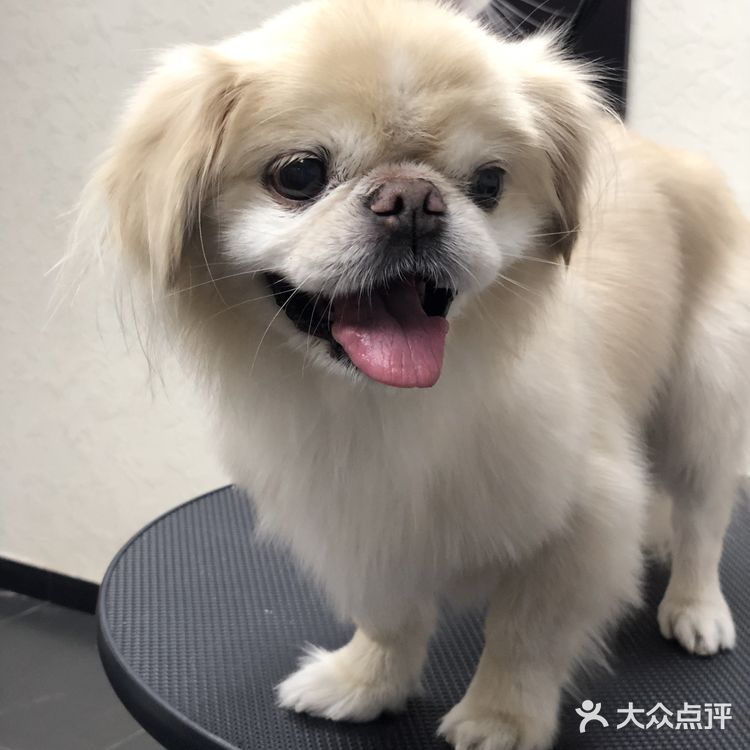 乒小乓，你想姐姐了吗？