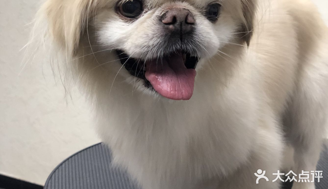 乒小乓,你想姐姐了吗?