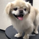 乒小乓,你想姐姐了吗?