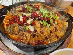 -老板恋上鱼(高新万达店)