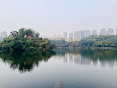 -重庆彩云湖湿地公园