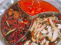 -陳艳红火锅(港汇店)