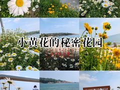 -青岛海滨风景区