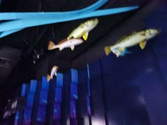 -同济大学四平路校区深海探索馆