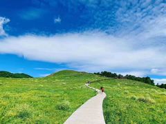 -塞罕坝国家级自然保护区