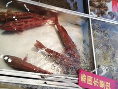 -湛江渔港·大排档(乐园路总店)