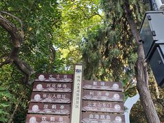 -云龙山