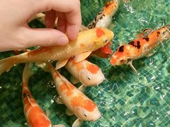-北京新世纪饭店(动物园地铁站店)