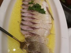 -鲁宴·鲁煨黄河生态大鲤鱼(月坛店)
