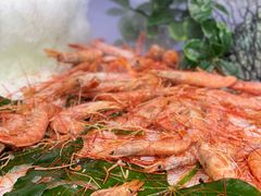 -圣罗巴海鲜自助(黑金店)
