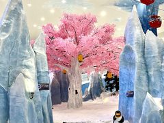 -湘江欢乐城欢乐雪域