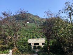 -龙井壹号·茶缘山景宴(龙井村店)