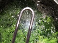 -苏大嘴海鲜牧场(奥林匹克店)