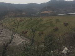 -东海大峡谷