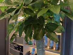 -鹿栖.精油SPA(金山世纪城店)