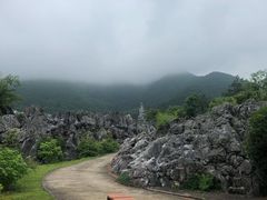 -千岛湖石林