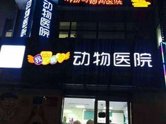-瑞派宠物医院·24h·骨外科·皮肤科·全科宠物医疗转诊中心(沈阳浑南院)
