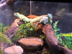 -Zoolung Zoolung动物主题公园(海信广场店)